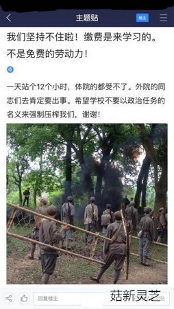 網(wǎng)曝學生強制跑龍?zhí)?菇新靈芝孢子粉 網(wǎng)曝學生強制跑龍?zhí)?菇新靈芝孢子粉