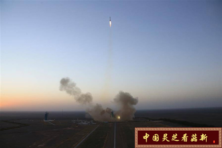 菇新破壁靈芝孢子粉資訊：神州十一號(hào)正式升空